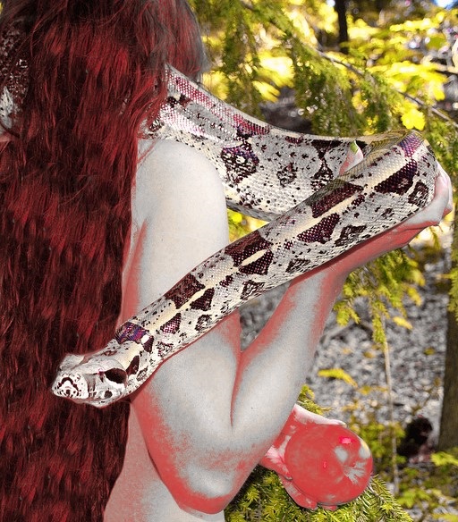 BETRAYED EDIT V3 (2)