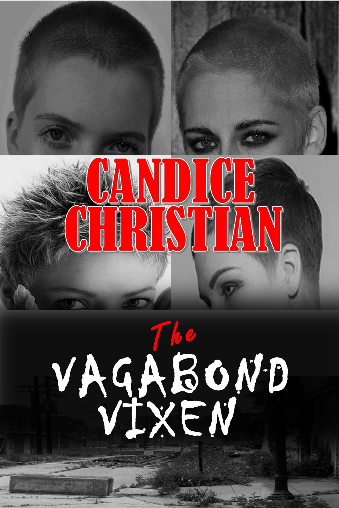 THE VAGABOND VIXEN COVER