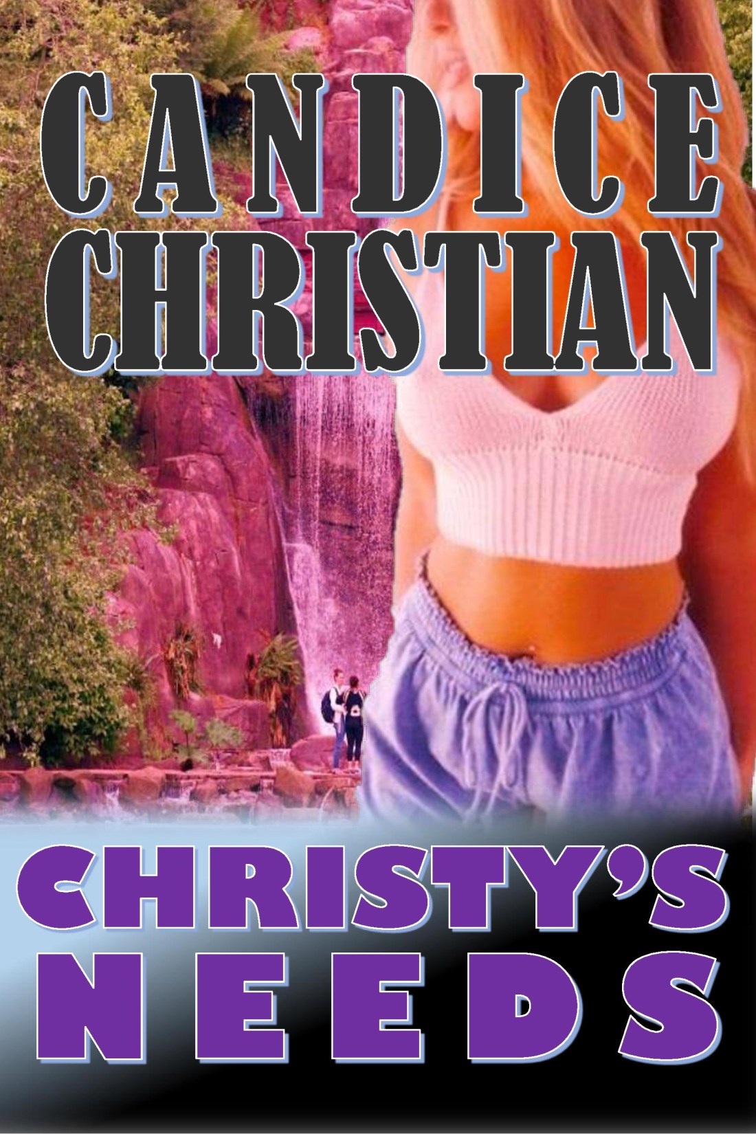 CHRISTY'S NEEDS COVER