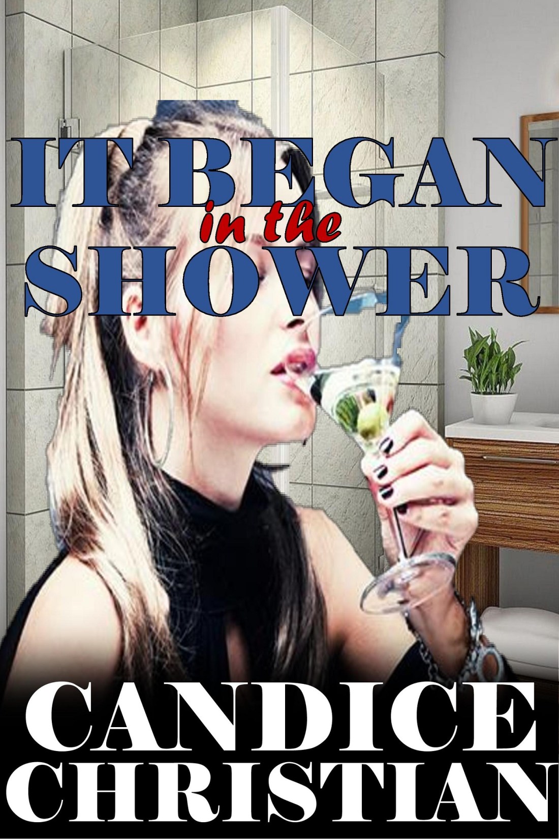IT BEGAN IN THE SHOWER COVER-RESIZED