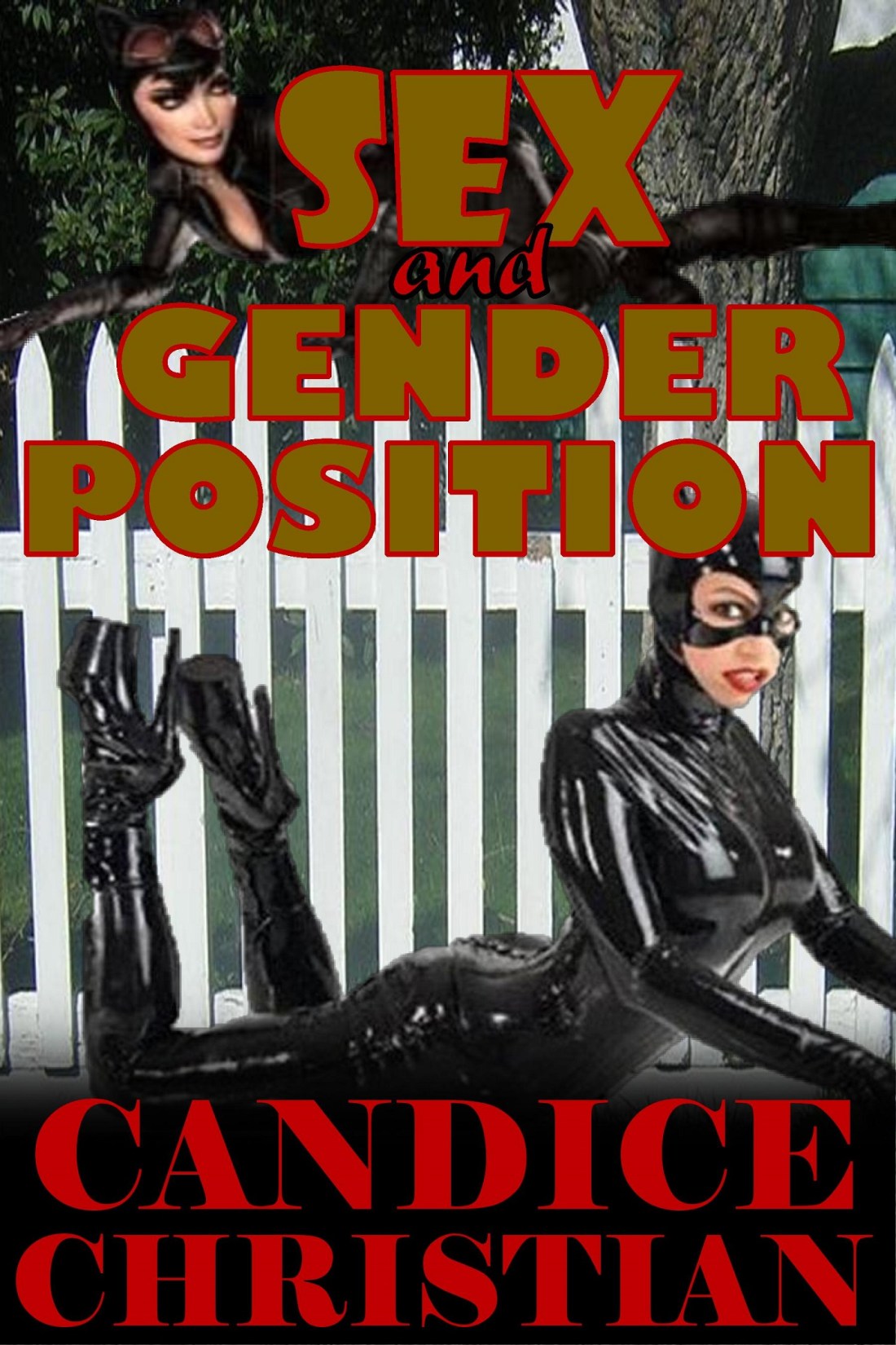 SEX AND GENDER POSITION COVER-resize
