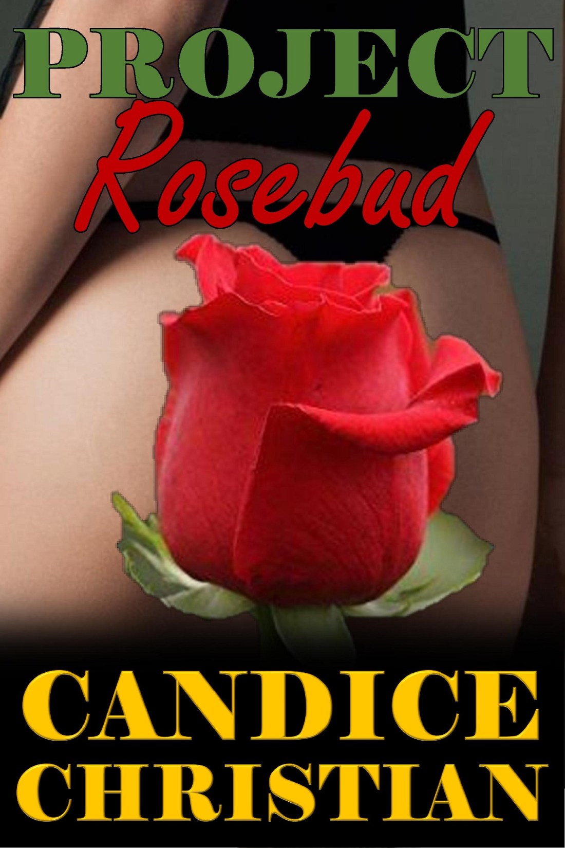 PROJECT ROSEBUD COVER-RESIZED