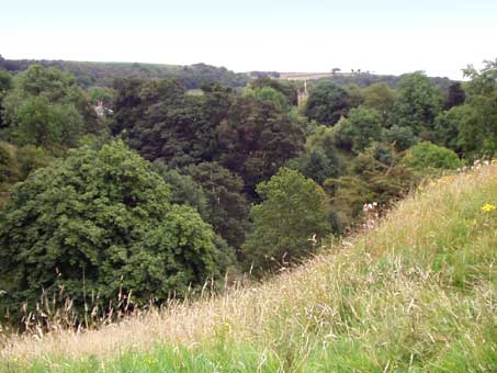 a cucket delf eyam18